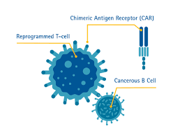 Revolusi Onkologi: Terapi CAR-T Pertama di Dunia untuk Tumor Padat Segera Tersedia